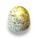 Photoroom_007_20250606_100845 (1).webp