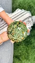 Cookie Spiruline.webp
