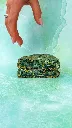 Cookie Spiruline.webp