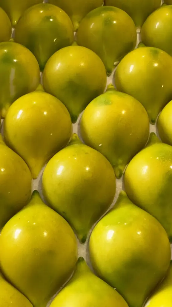 Pralines Yuzu.webp