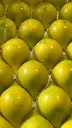 Pralines Yuzu.webp